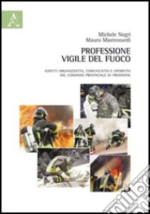 Professione vigile del fuoco. Aspetti organizzativi, comunicativi e operativi del comando provinciale di Frosinone libro di Mastronardi Mauro; Negri Michele