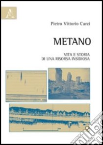 Metano. Vita e storia di una risorsa insidiosa libro di Curzi Pietro V.