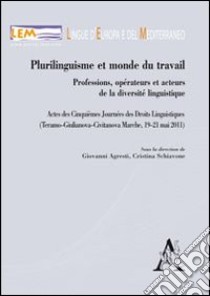 Plurilinguisme et monde du travail libro di Agresti G. (cur.); Schiavone C. (cur.)