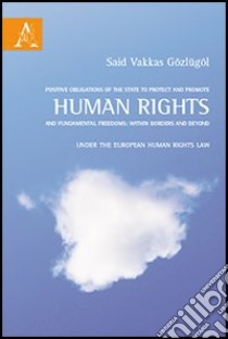 Positive obligations of the state to protect and promote human rights and human rights law libro di Gözlügöl Said Vakkas