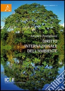 Diritto internazionale dell'ambiente libro di Postiglione Amedeo