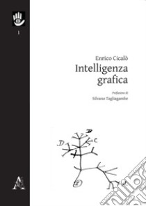 Intelligenza grafica libro di Cicalò Enrico