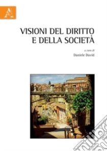 Visioni del diritto e della società libro di David D. (cur.)