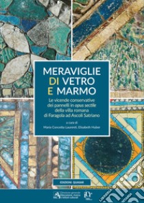 Meraviglie di vetro e marmo. Le vicende conservative dei pannelli in opus sectile della villa romana di Faragola ad Ascoli Satriano libro di Laurenti M. C. (cur.); Huber E. (cur.)