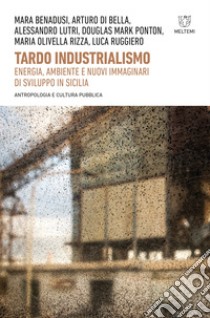 Tardo industrialismo. Energia, ambiente e nuovi immaginari di sviluppo in Sicilia libro di Benadusi M. (cur.)