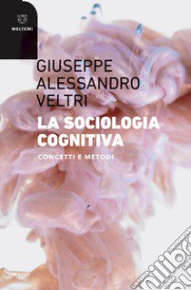 Sociologia cognitiva. Concetti e metodi libro di Veltri Giuseppe Alessandro