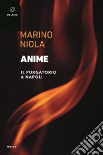 Anime. Il purgatorio a Napoli libro di Niola Marino