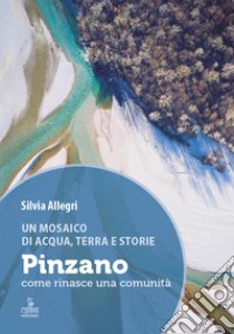 Un mosaico di acqua, terra e storie. Pinzano, come rinasce una comunità. Ediz. a colori libro di Allegri Silvia