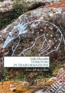 Territori in trasformazione. Il caso dell'Alta Gallura libro di Decandia Lidia