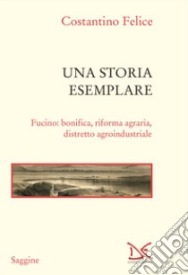 Una storia esemplare. Fucino: bonifica, riforma agraria, distretto agroindustriale libro di Costantino Felice