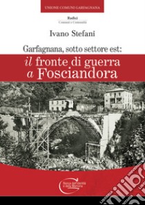 Garfagnana, sotto settore Est: Il fronte di guerra a Fosciandora libro di Stefani Ivano