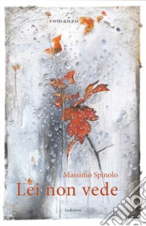 Lei non vede libro di Spinolo Massimo