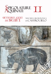 Spigolature Aquinati. Quindici anni di scavi nell'area archeologica di Castrocielo. Vol. 2 libro di Ceraudo G. (cur.)