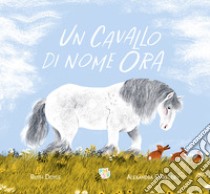 Un cavallo di nome Ora. Ediz. a colori libro di Doyle Ruth