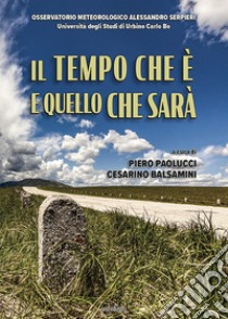 Il tempo che è e quello che sarà libro di Paolucci Piero; Balsamini Cesarino