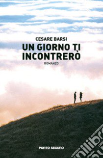 Un giorno ti incontrerò libro di Barsi Cesare