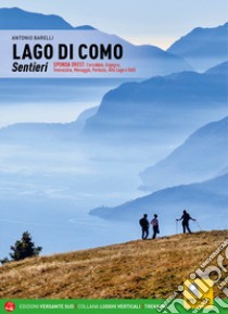 Lago di Como. Sentieri. Sponda ovest: Cernobbio, Argegno, Tremezzina, Menaggio, Porlezza, Alto Lago e Valli. Con espansione online libro di Barelli Antonio