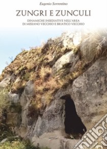 Zungri e zunculi. Dinamiche insediative nell'area di Mesiano vecchio e Briatico vecchio libro di Sorrentino Eugenio