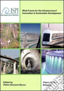 What future for the infrastructure? Con CD-ROM libro di Bocca Pietro G.