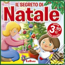 Il segreto di Natale. Ediz. illustrata libro