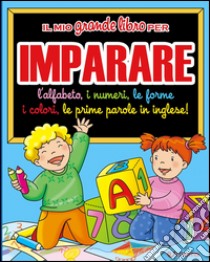 Il mio grande libro per imparare. L'alfabeto, i numeri, le forme, i colori, le prime parole in inglese! libro