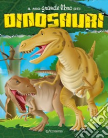 Il mio grande libro dei dinosauri libro