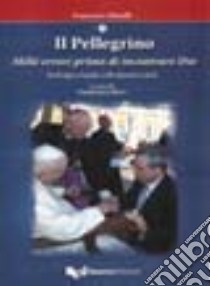 Il pellegrino. Mille errori prima di incontrare Dio. Da Perugia a Lourdes: 1.500 chilometri a piedi libro di Minelli Francesco; Ricci G. (cur.)