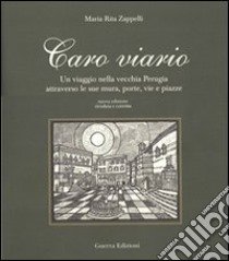 Caro viario. Un viaggio nella vecchia Perugia attraverso le sue mura, porte, vie, piazze libro di Zappelli M. Rita