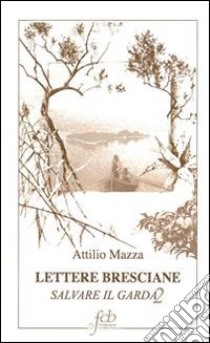 Lettere bresciane. Salvare il Garda. Vol. 2 libro di Mazza Attilio