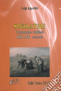 Spigolature. Cronache valliesi XIX-XX secolo libro di Agostini Luigi