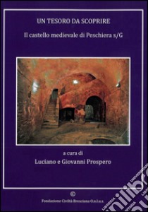 Un tesoro da scoprire. Il castello mediavle di Peschiera s/G. Ediz. illustrata libro di Prospero L. (cur.); Prospero G. (cur.)