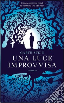 Una luce improvvisa libro di Stein Garth