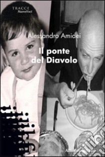 Il ponte del diavolo libro di Amidei Alessandro