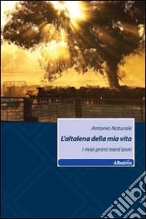 L'altalena della mia vita. I mie primi trent'anni libro di Naturale Antonio