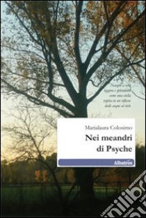 Nei meandri di Psyche libro di Colosimo Marialaura