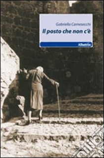 Il posto che non c'è libro di Carnesecchi Gabriella