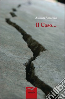 Il caso... (casualità e certezza) libro di Antonini Assunta