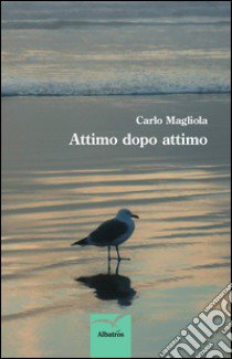 Attimo dopo attimo libro di Magliola Carlo