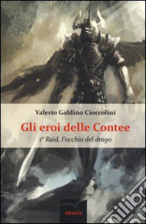 Raid, l'occhio del drago. Gli eroi delle contee. Vol. 1 libro di Cioccolini Valerio G.