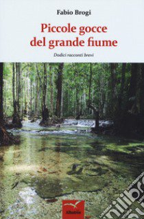 Piccole gocce del grande fiume. Dodici racconti brevi libro di Brogi Fabio