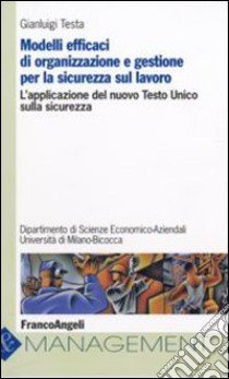 Modelli efficaci di organizzazione e gestione per la sicurezza sul lavoro. L'applicazione del nuovo Testo Unico sulla sicurezza libro di Testa Gianluigi