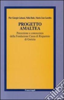 Progetto Amaltea. Percezione e conoscenza della Fondazione Cassa di Risparmio di Gorizia libro di Gabassi P. Giorgio; Batic Nadia; Garzitto Maria Lisa