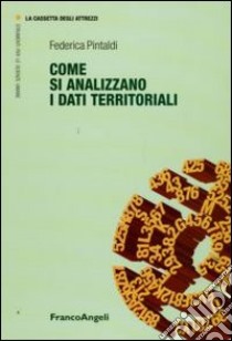 Come si analizzano i dati territoriali libro di Pintaldi Federica