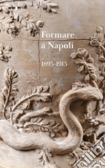 Formare a Napoli. 1895-1915. Ediz. illustrata libro di Iliano T. (cur.)