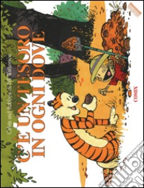 C'è un tesoro in ogni dove. Calvin & Hobbes. Ediz. a colori libro di Watterson Bill