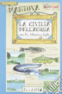 La civiltà dell'acqua. Tra Po, Mincio e laghi libro di Zanoni R. (cur.)