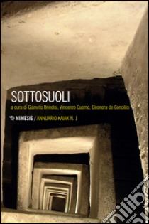 Sottosuoli. Vol. 1 libro di Brindisi G. (cur.); Cuomo V. (cur.); De Conciliis E. (cur.)