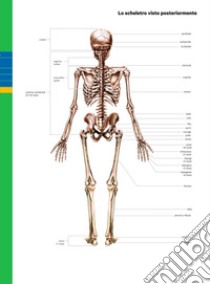 Professione sport. Edizione verde. Corso di scienze motorie e sportive. Per le Scuole superiori. Con e-book. Con espansione online libro di Zocca Edo; Sbragi Antonella; Gulisano Massimo