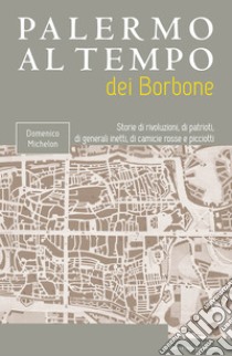 Palermo al tempo dei Borbone. Storie di rivoluzioni, di patrioti, di generali inetti, di camicie rosse e picciotti libro di Michelon Domenico