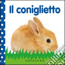 Il coniglietto. Ediz. illustrata libro